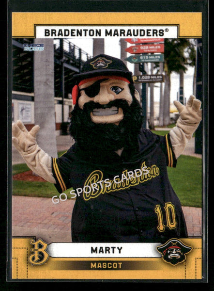 2026 Bradenton Marauders Marty Mascot