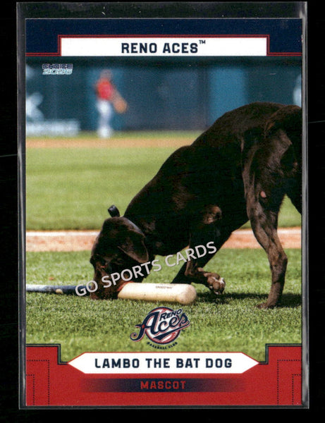 2026 Reno Aces Lambo The Bat Dog