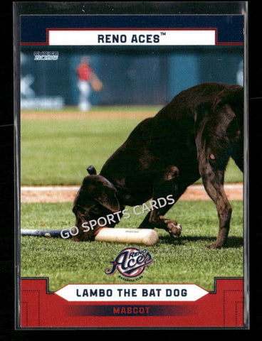 2026 Reno Aces Lambo The Bat Dog