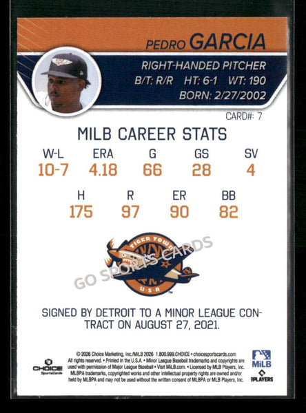2026 Lakeland Flying Tigers Pedro Garcia