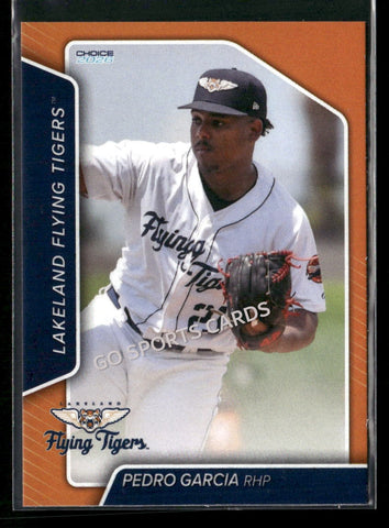 2026 Lakeland Flying Tigers Pedro Garcia