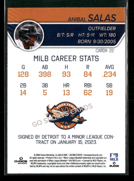 2026 Lakeland Flying Tigers Anibal Salas