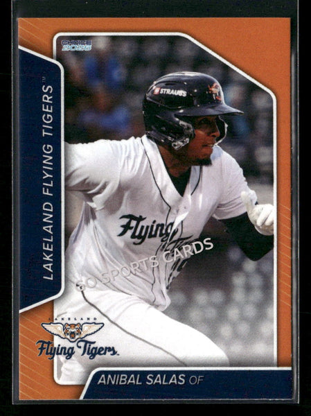 2026 Lakeland Flying Tigers Anibal Salas