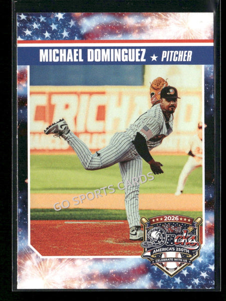 2026 Long Island Ducks Michael Dominguez