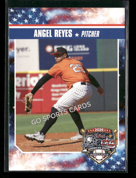 2026 Long Island Ducks Angel Reyes