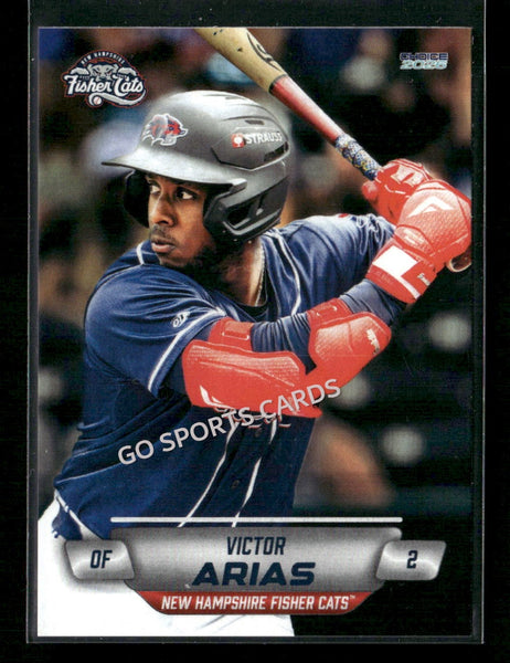 2026 New Hampshire Fisher Cats Victor Arias