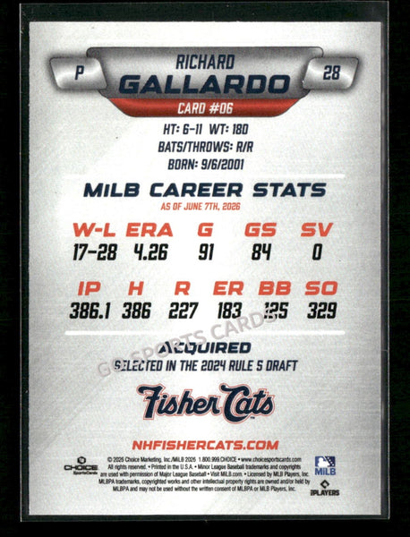 2026 New Hampshire Fisher Cats Richard Gallardo