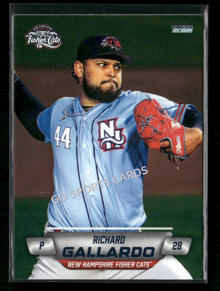 2026 New Hampshire Fisher Cats Richard Gallardo