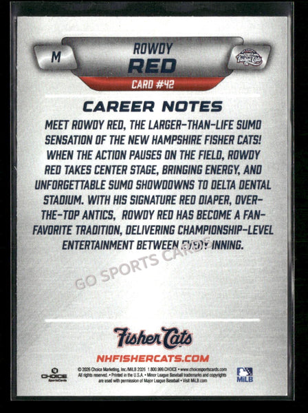 2026 New Hampshire Fisher Cats Rowdy Red