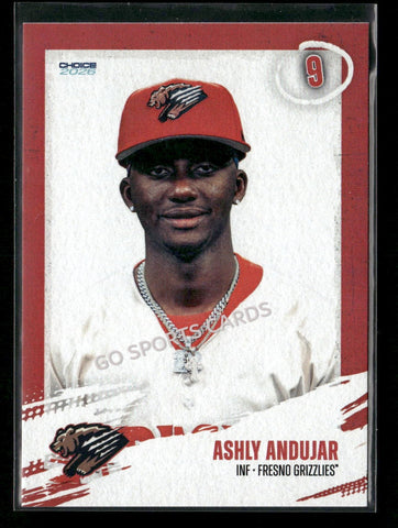 2026 Fresno Grizzlies Ashly Andujar