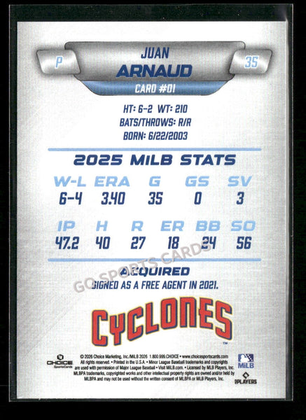 2026 Brooklyn Cyclones Juan Arnaud