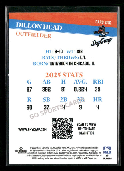 2026 Beloit Sky Carp Dillon Head