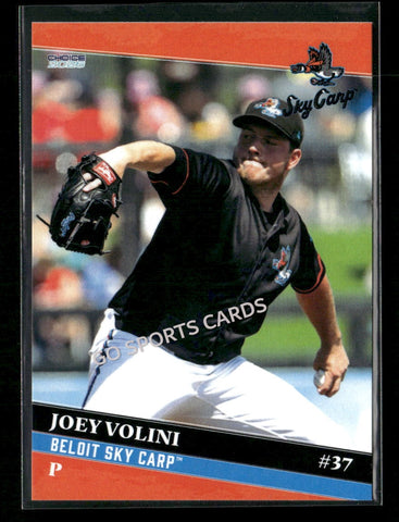 2026 Beloit Sky Carp Joey Volini