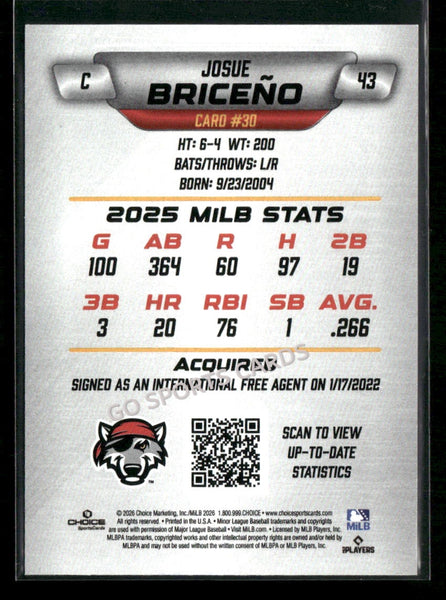 2026 Erie SeaWolves Josue Briceno