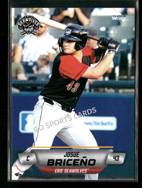 2026 Erie SeaWolves Josue Briceno