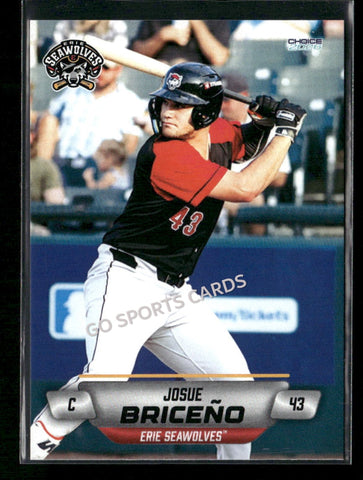 2026 Erie SeaWolves Josue Briceno