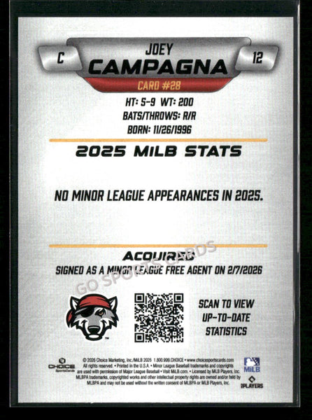 2026 Erie SeaWolves Joey Campagna