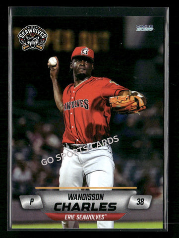 2026 Erie SeaWolves Wandisson Charles