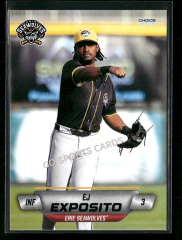 2026 Erie SeaWolves EJ Exposito