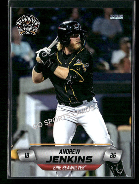 2026 Erie SeaWolves Andrew Jenkins