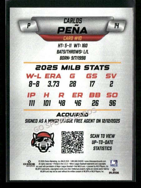 2026 Erie SeaWolves Carlos Pena