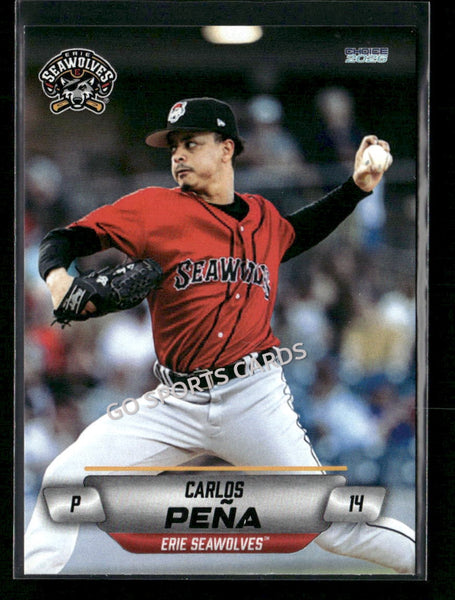 2026 Erie SeaWolves Carlos Pena