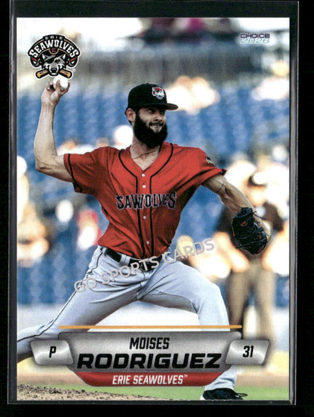 2026 Erie SeaWolves Moises Rodriguez