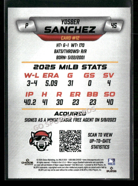 2026 Erie SeaWolves Yosber Sanchez