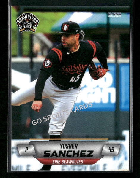 2026 Erie SeaWolves Yosber Sanchez
