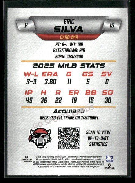 2026 Erie SeaWolves Eric Silva