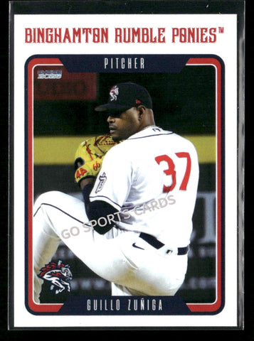 2026 Binghamton Rumble Ponies Guillo Zuniga