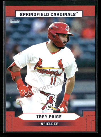 2026 Springfield Cardinals Trey Paige