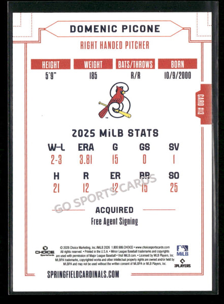 2026 Springfield Cardinals Domenic Picone