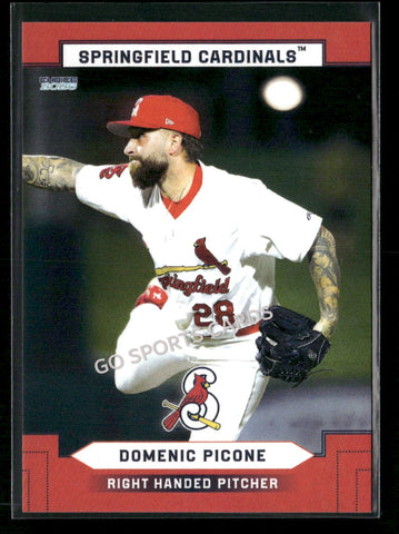 2026 Springfield Cardinals Domenic Picone
