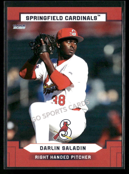 2026 Springfield Cardinals Darlin Saladin