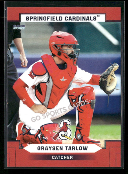 2026 Springfield Cardinals Graysen Tarlow