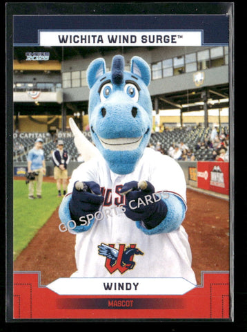 2026 Wichita Wind Surge Windy Mascot