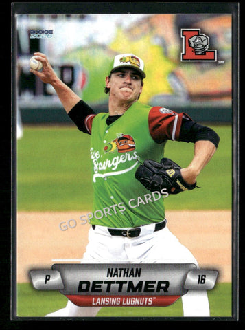 2026 Lansing Lugnuts Nathan Dettmer