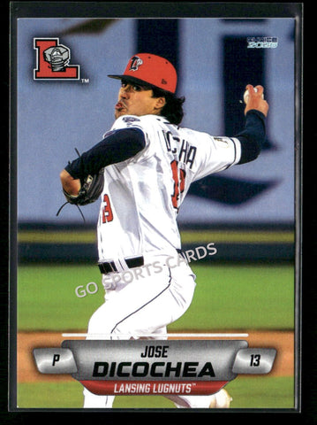 2026 Lansing Lugnuts Jose Dicochea