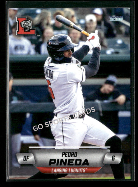 2026 Lansing Lugnuts Pedro Pineda