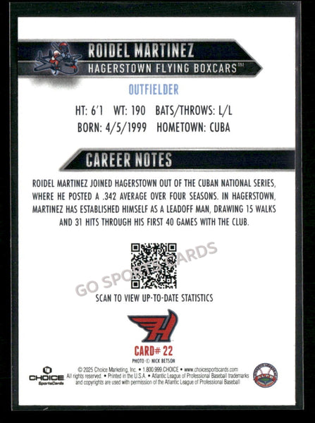 2025 Hagerstown Flying Boxcars Roidel Martinez
