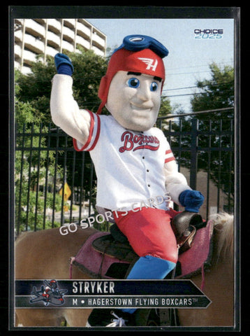 2025 Hagerstown Flying Boxcars Stryker Mascot