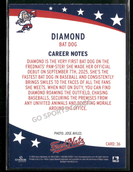 2026 Fredericksburg Nationals Diamond Bat Dog