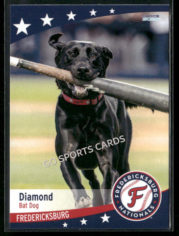2026 Fredericksburg Nationals Diamond Bat Dog