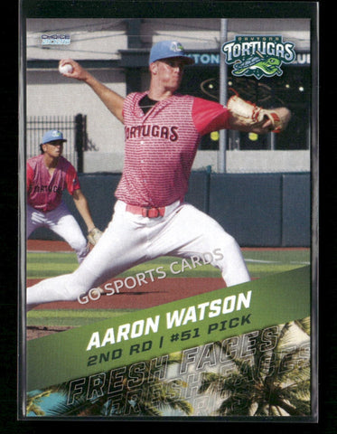 2026 Florida League Fresh Faces Top Prospects Aaron Watson