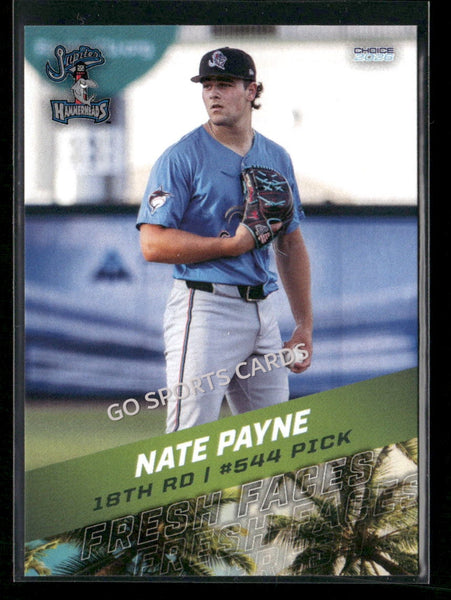 2026 Florida League Fresh Faces Top Prospects Nate Payne