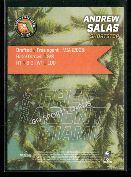 2026 Florida League Fresh Faces Top Prospects Andrew Salas