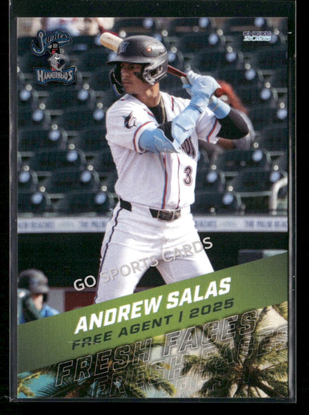 2026 Florida League Fresh Faces Top Prospects Andrew Salas