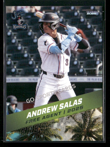 2026 Florida League Fresh Faces Top Prospects Andrew Salas