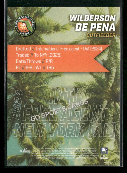 2026 Florida League Fresh Faces Top Prospects Wilberson De Pena